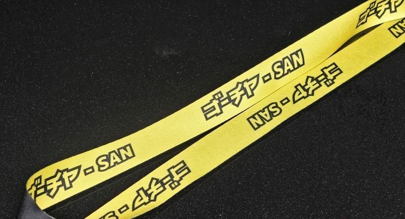 Ланьярд, лента для бейджей #ЖГИРЕЗИНУГОЧАСАН