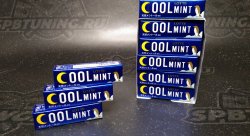 LOTTE жевательная резинка освежающая мята (COOL MINT), 19,1 г.