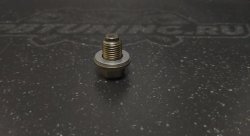 Болт маслосливной (Пробка) С МАГНИТОМ "Masuma" Nissan 12х1.25mm 