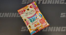 SENJAKU Фруктовая карамель (мандарин и яблоко)"MANEKINEKO" с гаданиями, 50гр