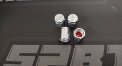 Ниппельные колпачки rays style (4шт) серебро